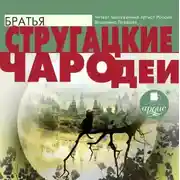 Постер книги Чародеи