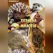Постер книги Хозяева Милоты