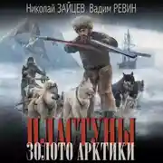 Постер книги Пластуны. Золото Арктики