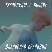 Постер книги Журавленок и молнии