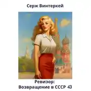 Постер книги Ревизор: возвращение в СССР 43