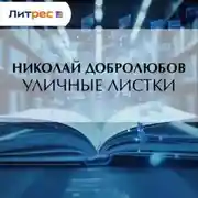 Постер книги Уличные листки