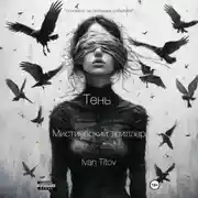 Постер книги Тень