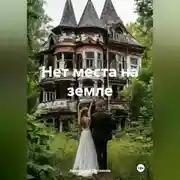 Постер книги Нет места на земле