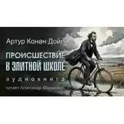 Постер книги Происшествие в элитной школе