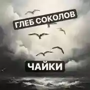 Постер книги Чайки