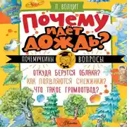 Постер книги Почему идёт дождь?