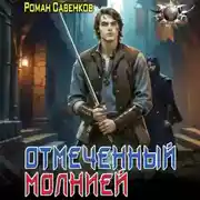 Постер книги Отмеченный молнией