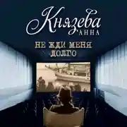 Постер книги Не жди меня долго