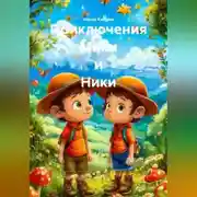 Постер книги Приключения Мики и Ники