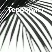 Постер книги Террорист