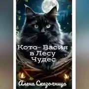 Постер книги Кото-Васия в Лесу Чудес