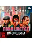 Игорь Соловьев - Пока цветет смородина