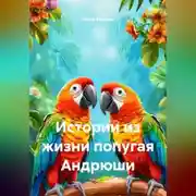 Постер книги Истории из жизни попугая Андрюши.