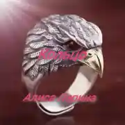 Постер книги Кольцо