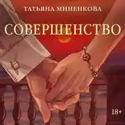 Постер книги Совершенство