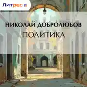 Постер книги Политика