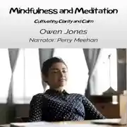 Постер книги Mindfulness And Meditation