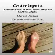 Постер книги Gestire La Gotta