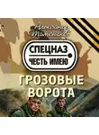 Александр Тамоников - Грозовые ворота