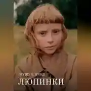 Постер книги Люпинки