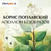 Постер книги Аполлон Безобразов