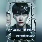 Постер книги Зеркальный ключ