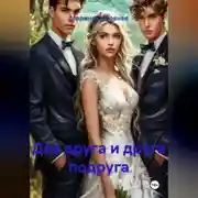 Постер книги Два друга и друга подруга