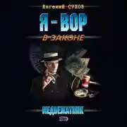 Постер книги Медвежатник