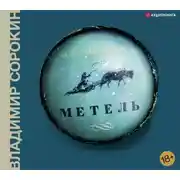 Постер книги Метель