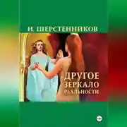 Постер книги Другое зеркало реальности