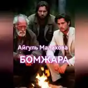 Постер книги Бомжара