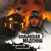 Постер книги Волынская мадонна