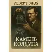 Постер книги Камень колдуна