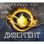 Постер книги Дивергент