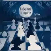 Постер книги Лабиринты полуночи