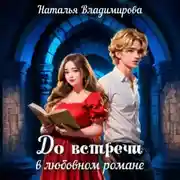 Постер книги До встречи в любовном романе