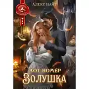 Постер книги Лот номер Золушка