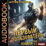 Постер книги Первый пользователь. Книга 11