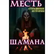 Постер книги Месть шамана