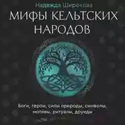 Постер книги Мифы кельтских народов. Боги, герои, силы природы, символы, мотивы, ритуалы, друиды