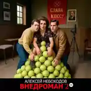 Постер книги Внедроман 2