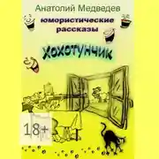 Постер книги Хохотунчик. Сборник юмористических рассказов