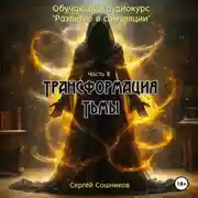 Постер книги Трансформация тьмы