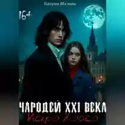 Постер книги Чародей XXI века: Искра Хаоса