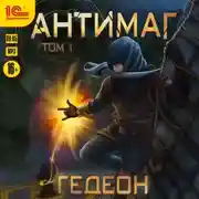 Постер книги Антимаг. Часть 1