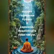 Постер книги 30 техник гармонии прямо в кармане. Аудиокнига практикум.