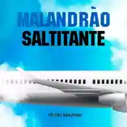 Постер книги Маландрао Салчитанчи