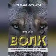 Постер книги Волк