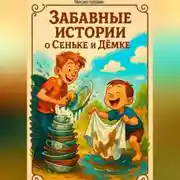 Постер книги Забавные истории о Сеньке и Дёмке